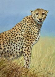 Cheetah III by Tony Forrest - Original Painting on Stretched Canvas sized 17x23 inches. Available from Whitewall Galleries